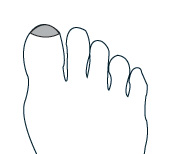 Chinese Reflexology Sinus Point