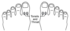Tonsils and Throat Reflexology Point