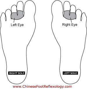 Blank Foot Charts For Reflexology