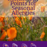 6 Chinese Reflexology Points for Seasonal Allergies: How to Massage Your Feet for Natural Allergy Re...