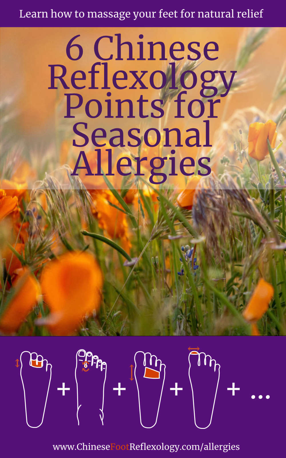 6 Chinese Reflexology Points For Seasonal Allergies How To Massage Your Feet For Natural Relief