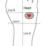 Heart reflexology point