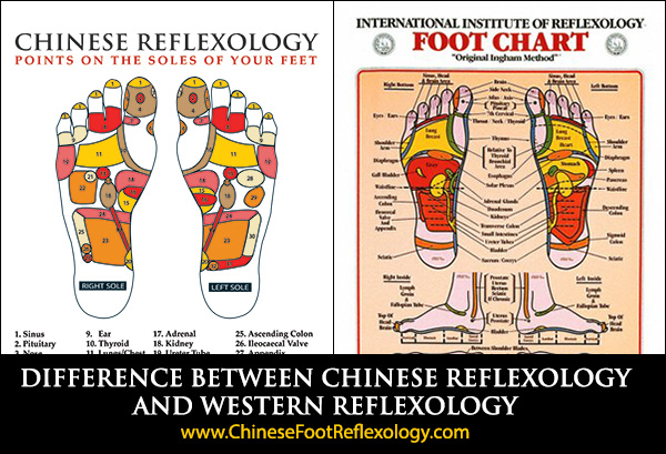 Chinese-reflexology-vs-Western-Ingham-difference