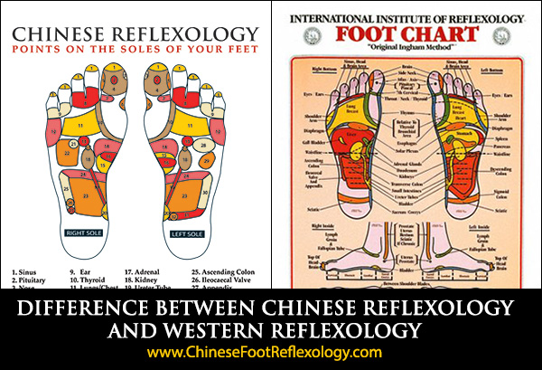 International Institute Of Reflexology Foot Chart