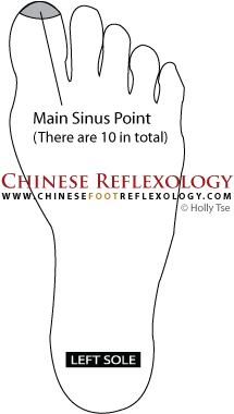 Chinese Reflexology point for the sinus