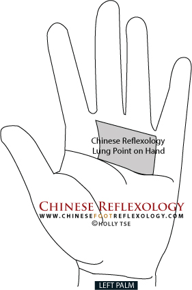 hand reflexology, lung reflexology point