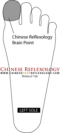 Chinese Reflexology Brain Point