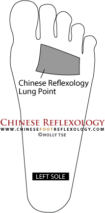 Chinese Reflexology point for the Lungs