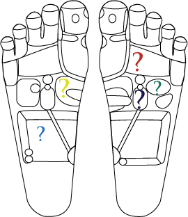 Blank Foot Charts For Reflexology