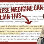 Chinese Medicine Explains Why Anger Causes Heart Attacks