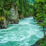 How Energy Blocks Lead to Toxic Build-Up & Health Issues  